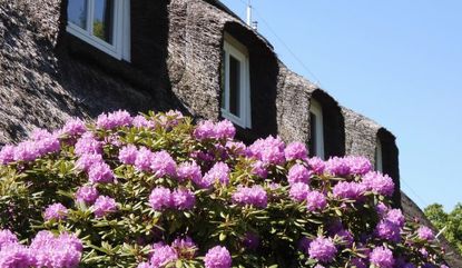 Gemeindehaus - Copyright: Archiv St. Johannis zu  Curslack