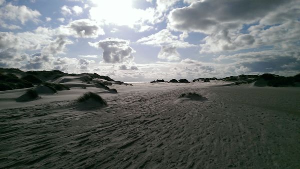 - Copyright: Lena Fünfsinn - Copyright: Lena Fünfsinn