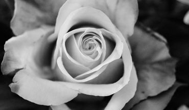 Copyright: © Swantje Biehler