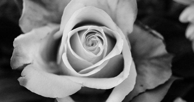 Weiße Blume