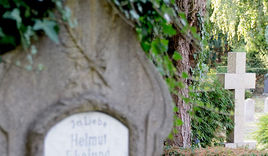 Friedhof - Copyright: © Hagen Grützmacher