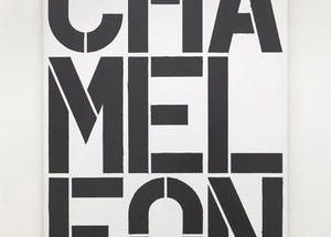Copyright:  ©Sammlung Familiengesellschaft Scharpff in der Hamburger Kunsthalle/C. Wool Photo: Kay Riechers