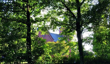 Weg am Waldrand - Copyright: Dr. Inga Hillig-Stoeven