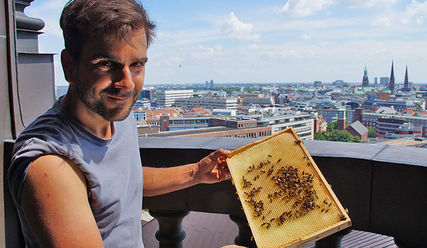 Hobby-Imker David Hohmann - © epd - Copyright: Hobby-Imker David Hohmann