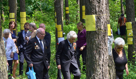 Auf dem Weg durch den Wald von Blagowschtschina - Foto: IBB