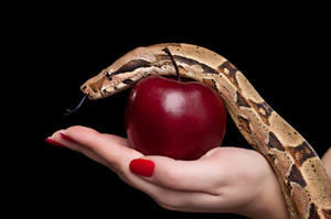 Copyright: Nelic, iStockphoto