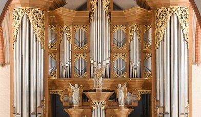 Arp-Schnitger-Orgel - Copyright: Michael Zapf