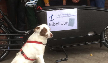 In der Kirchengemeinde Langenfelde nimmt der Hund von Pastor Holger Janke die Bibel entgegen. Er heißt Tölpel, wie der Hund Luthers 
