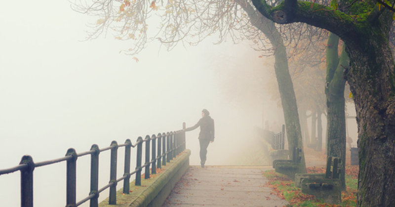 Herbstnebel © prudkov/fotolia