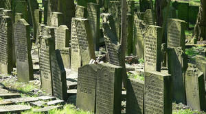 Copyright: Wolfgang Meinhart/Wikimedia Commons
