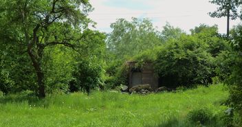 Eine Impression aus dem Luthergarten im Sommer - Copyright: Sabine Henning/kirche-hamburg.de