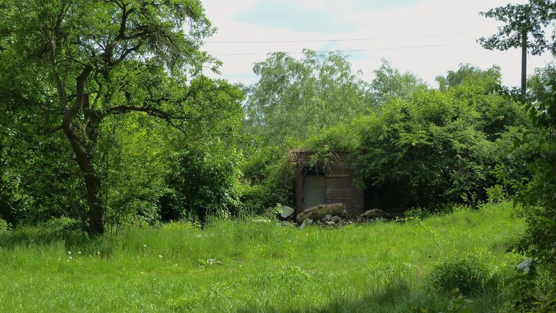 Eine Impression aus dem Luthergarten im Sommer