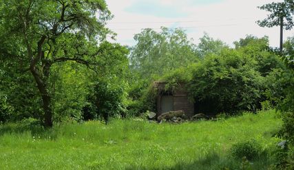 Eine Impression aus dem Luthergarten im Sommer - Copyright: Sabine Henning/kirche-hamburg.de