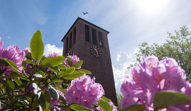Stellingen - Copyright: Stellingen