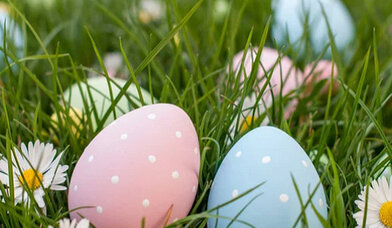 Ostereier im Gras - Copyright: Canva