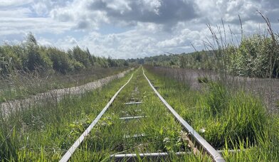 Schienen Himmelmoor - Copyright: eigenes Bild
