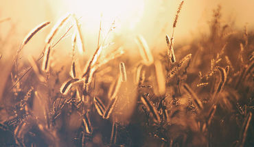 Copyright: Unsplash