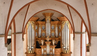 Arp-Schnitger-Orgel - Copyright: Michael Zapf