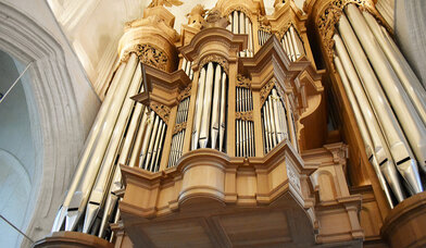 Große Orgel in St. Katharinen - Copyright: Foto: © Wiebke Veth