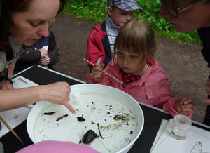  Kinder erforschen Kleinstlebewesen im sauberen Bachwasser - Foto: Markus Scholz