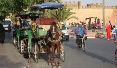 Copyright: eigenes Foto