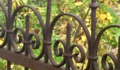 Copyright: Florian Günther