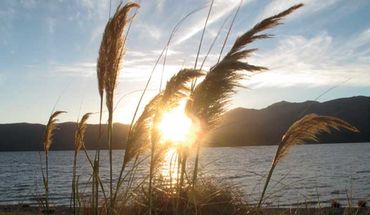 Copyright: Birgit Kuhlmann