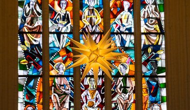 Weihnachtsstern - Copyright: ©Manfred Beseler