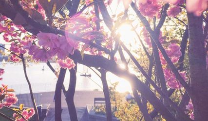 Sooo schön – Sommer in der Stadt - Copyright: Katrin Donig/fotolia