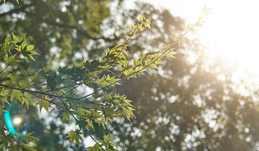 Copyright: Unsplash/Nicola Pavan