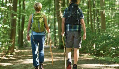 Copyright: durch den Wald2_© Tobias Frick fundus-medien.de