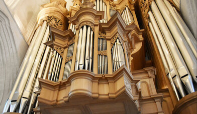 Große Orgel in St. Katharinen - Copyright: © Wiebke Veth