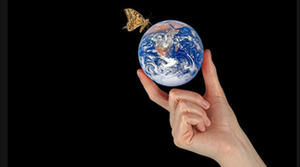 Copyright: Dmitry - Fotolia.com