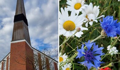 Außenansicht St. Johannes + Blumenwiese - Copyright: ©Sabine Chr. Lübke
