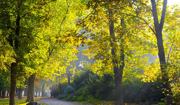 Copyright: Andrew Buckin - Fotolia.com