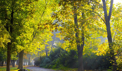 Gutes Wetter lädt ein zum Pilgern im Stadtpark - Copyright: Andrew Buckin - Fotolia.com
