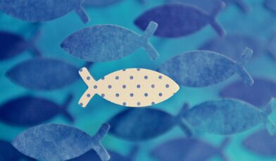 Copyright: https://pixabay.com/de/photos/fisch-kommunion-konfirmation-glaube-4085375/