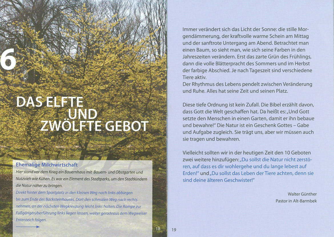 Das elfte und zwölfte Gebot
