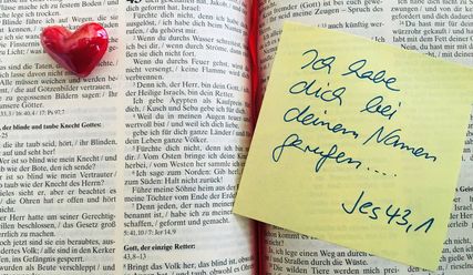 Copyright: Renate Endrulat