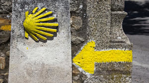Copyright: Gerhard Reus - Fotolia.com