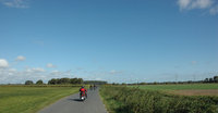 Grüne Marsch und blauer Himmel im Rosengarten