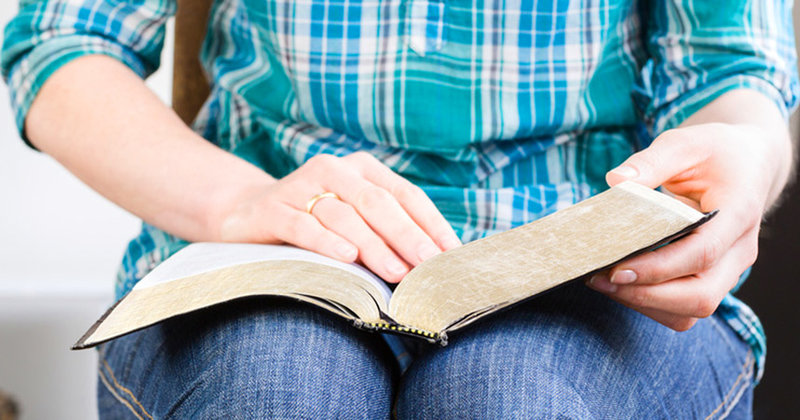 Die Evangelien lesen und hören, was sie zu sagen haben