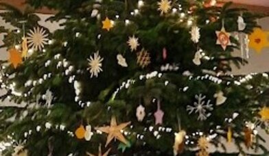 Weihnachtsbaum - Copyright: Irmgard Busemann