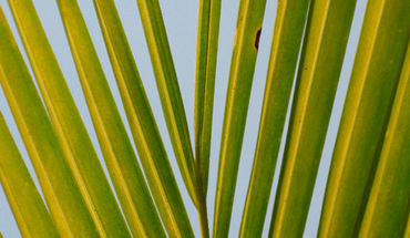 Copyright: fotolia