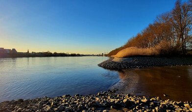 Copyright: K. Winkler-Budwasch