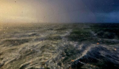 Copyright: K. Winkler-Budwasch