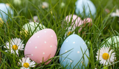 Ostereier im Gras - Copyright: Canva