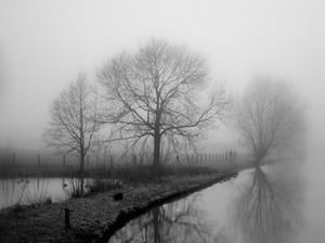 Gerade, dass Weihnachten auch in mir geschieht, darin liegt ja alles. (Meister Eckhart) - Winterlandschaft - Copyright: Liesbeth Klein Haneveld