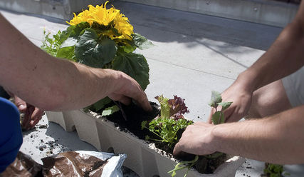 Arbeiten im Garten, Urban Gardening - Copyright: © Creative Commons, CC0
