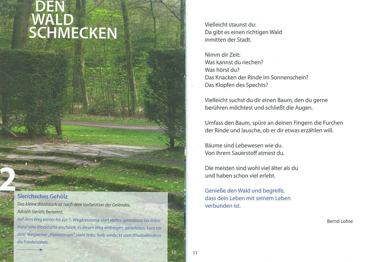 Den Wald schmecken